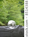 Earth and Nature 8514388