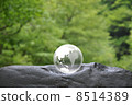 Earth and Nature 8514389