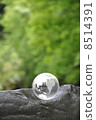 Earth and Nature 8514391
