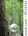 Earth and Nature 8514392