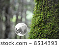 Earth and Nature 8514393