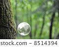 Earth and Nature 8514394