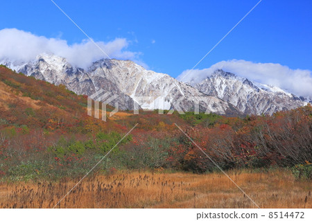 秋天的Happo One Black Rhinpei Kamike Mire 8514472