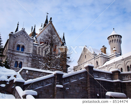 新天鵝堡在冬天 8514474