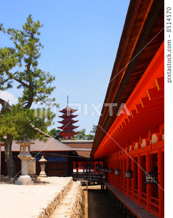 嚴島神社和五層寶塔 8514570
