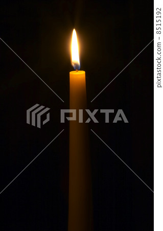 Candles Candles 8515192