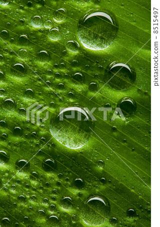 Water drops 8515497
