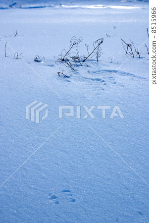 winter ice pattern winter ice pattern 8515966