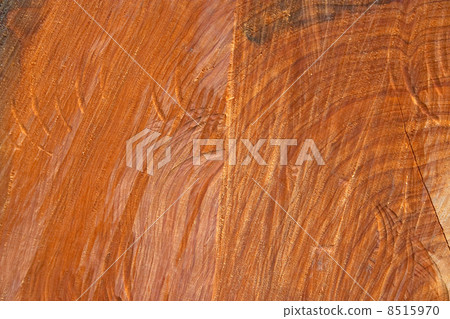 wood Texture 8515970