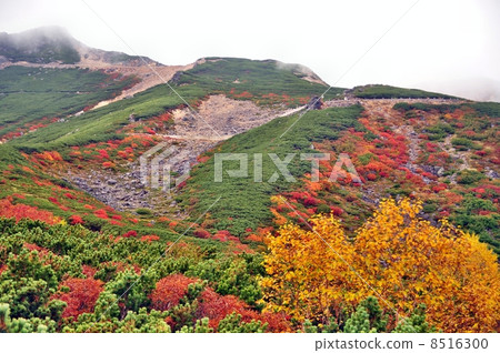 Norikura Fall 2013 Fall 8516300