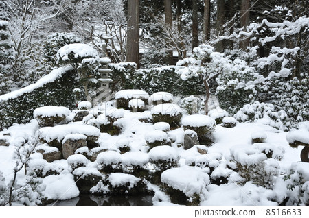 Winter in Kyoto Sanzenin 8516633