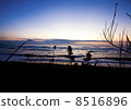Sea	 8516896
