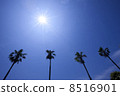 Palm companion 8516901