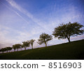 Flower breeze moon 8516903