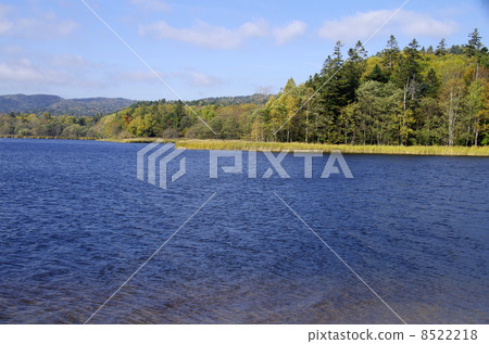 Timikepp Lake Timikepp Lake 8522218