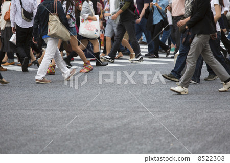 澀谷十字路口 8522308