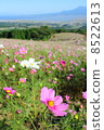 Cosmos vol.1 8522613