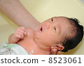 New baby's baby bath (bath) 8523061