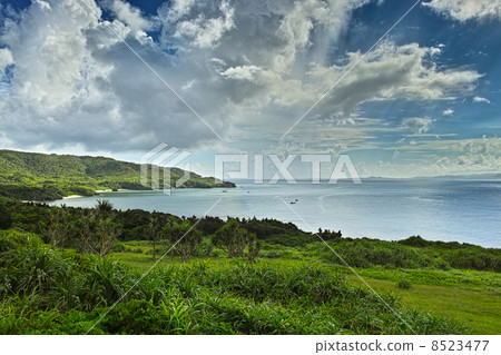 從小笠的看法 8523477