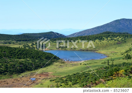 Autumn Kamonuma 8523607