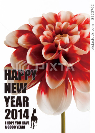 2014新年卡片設計素材 - 花 2014新年卡片設計素材 - 花 8523762