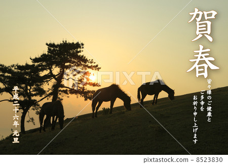 2014 New Year's card design material - horse 2014 New Year's card design material - horse 8523830
