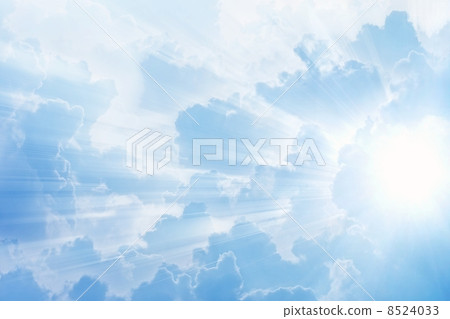 Light from above 8524033