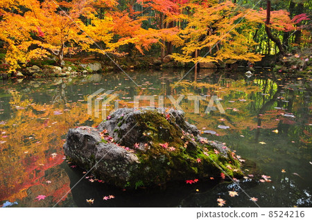 Nanzenji Tensenan in autumn 8524216