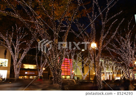 Illumination of Omotesando 8524293