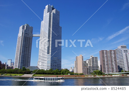 聖路花園 聖路花園 8524485