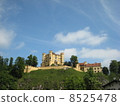 Hohenschwangau Castle 8525478