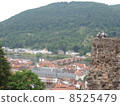 View from the wall 8525479