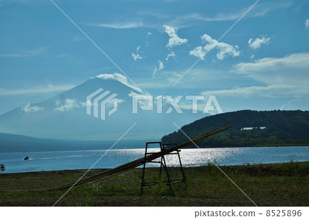 Blue Fuji wearing thin clouds 2013.9.1 · Sparkling lake water in the lake Yamanaka Landscape Horizontal position 8525896