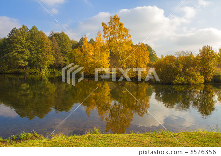 Autumnal landscape. Autumnal landscape. 8526356