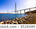 Cable-stayed bridge to Russian Island. Vladivostok. Russia. 8526480