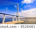 Cable-stayed bridge to Russian Island. Vladivostok. Russia. 8526481