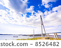 Cable-stayed bridge to Russian Island. Vladivostok. Russia. 8526482