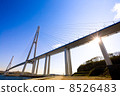 Cable-stayed bridge to Russian Island. Vladivostok. Russia. 8526483