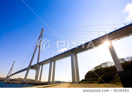 Cable-stayed bridge to Russian Island. Vladivostok. Russia. Cable-stayed bridge to Russian Island. Vladivostok. Russia. 8526483