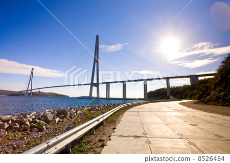 Cable-stayed bridge to Russian Island. Vladivostok. Russia. Cable-stayed bridge to Russian Island. Vladivostok. Russia. 8526484