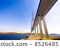 Cable-stayed bridge to Russian Island. Vladivostok. Russia. 8526485