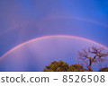 Rainbow at sunset 8526508