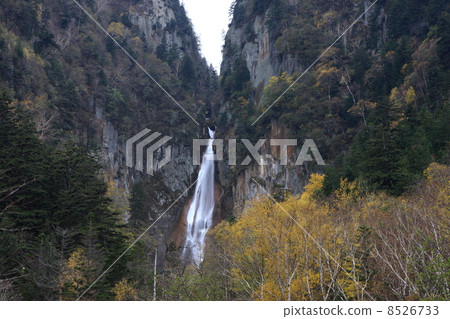 流星瀑布 8526733