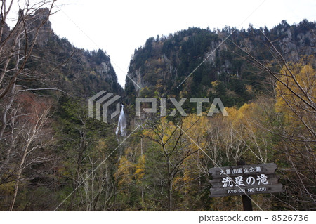 流星瀑布 8526736