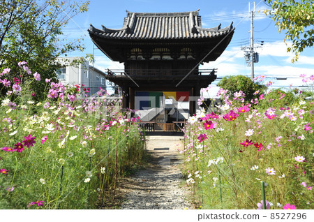 The tower gate of Nara Renkuji 8527296