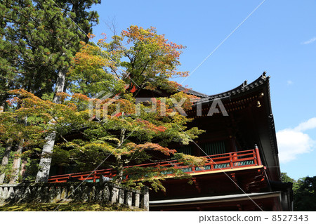 Ringo-ji Ringo-ji 8527343