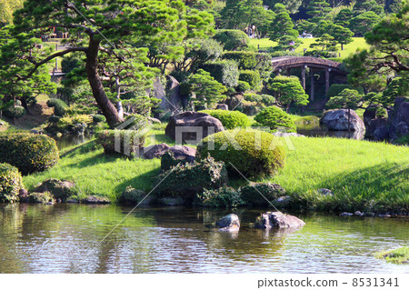 Suizenji Park 8531341