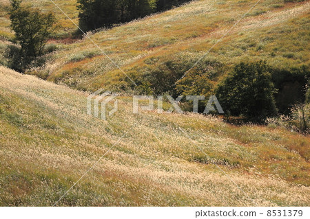 Tonomine Plateau　 8531379