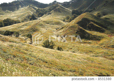 Tonomine Plateau Tonomine Plateau 8531380