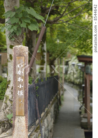 Gujo Hachiman·Iigawa小直徑 Gujo Hachiman·Iigawa小直徑 8544642